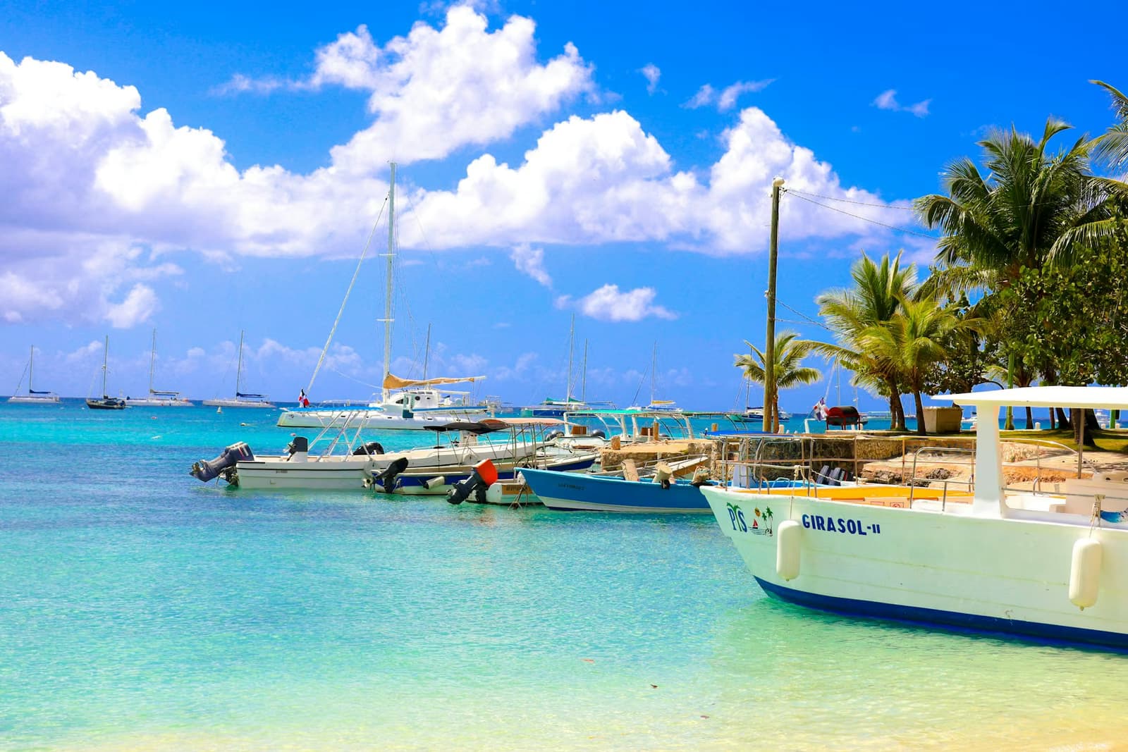 Boats on turquoise water by a palm-lined beach